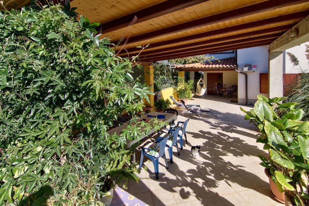 Caterina Apartment